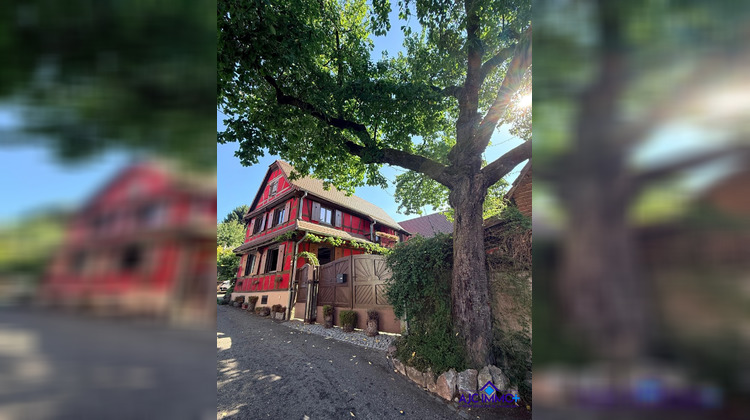 Ma-Cabane - Vente Maison Olwisheim, 354 m²