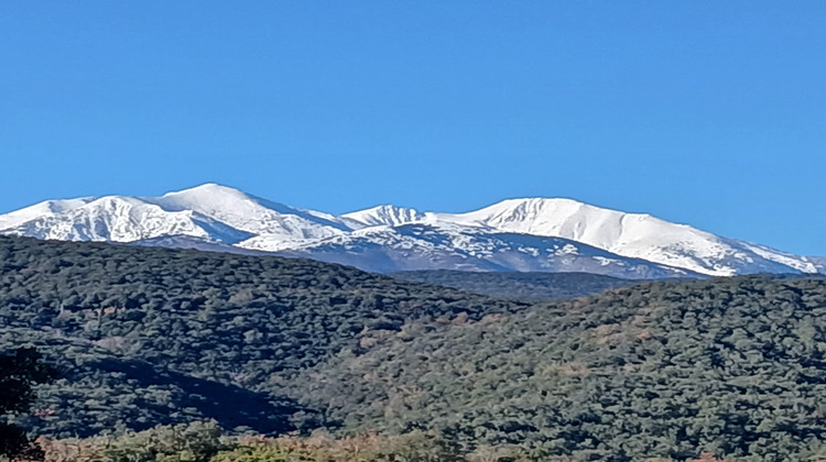 Ma-Cabane - Vente Maison Oms, 111 m²