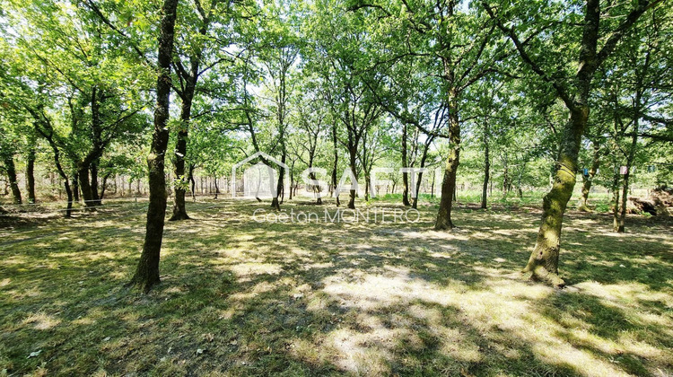 Ma-Cabane - Vente Maison Onesse-Laharie, 204 m²