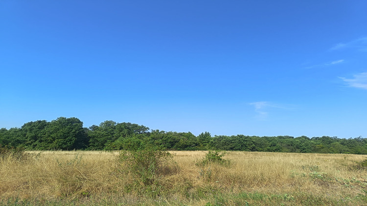 Ma-Cabane - Vente Maison ONZAIN, 366 m²