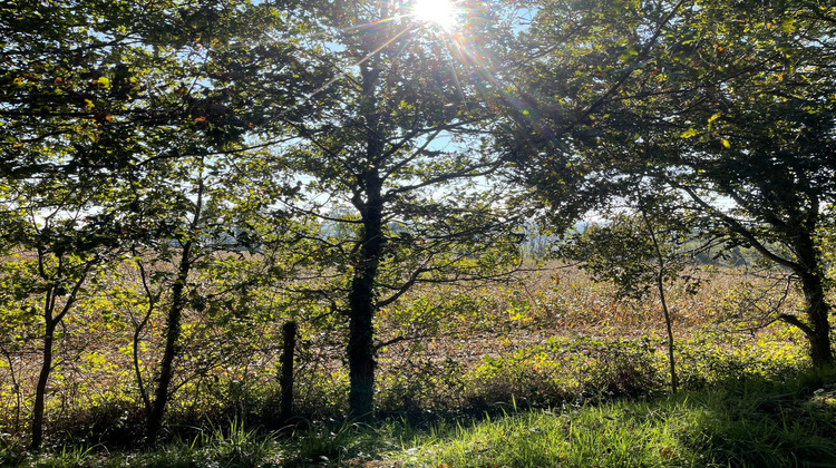 Ma-Cabane - Vente Maison Oradour-sur-Vayres, 160 m²