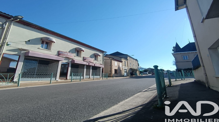 Ma-Cabane - Vente Maison Oradour-sur-Vayres, 200 m²