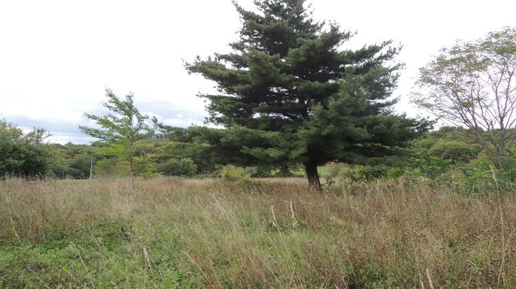 Ma-Cabane - Vente Maison Orgedeuil, 87 m²