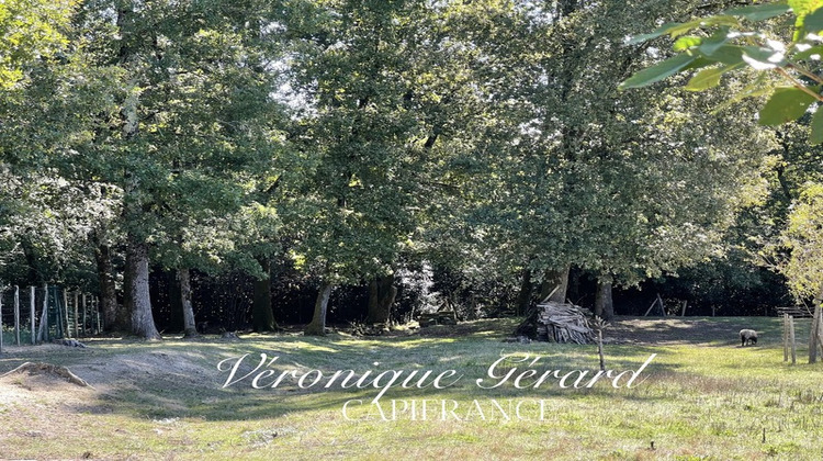 Ma-Cabane - Vente Maison ORIGNOLLES, 140 m²