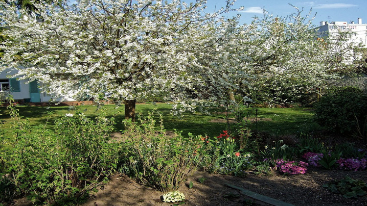 Ma-Cabane - Vente Maison Orléans, 131 m²