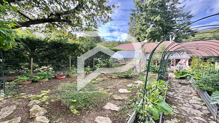 Ma-Cabane - Vente Maison OSENBACH, 43 m²