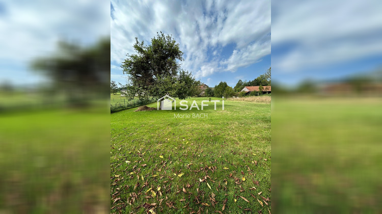 Ma-Cabane - Vente Maison Ottwiller, 300 m²