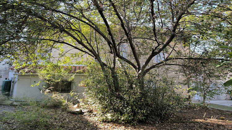 Ma-Cabane - Vente Maison OUPIA, 160 m²