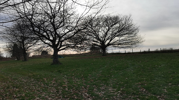 Ma-Cabane - Vente Maison PAGEAS, 195 m²