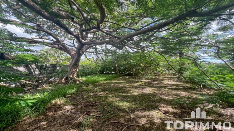 Ma-Cabane - Vente Maison Païta, 157 m²