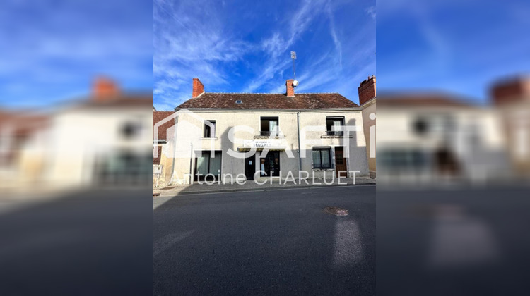 Ma-Cabane - Vente Maison Palluau-sur-Indre, 238 m²