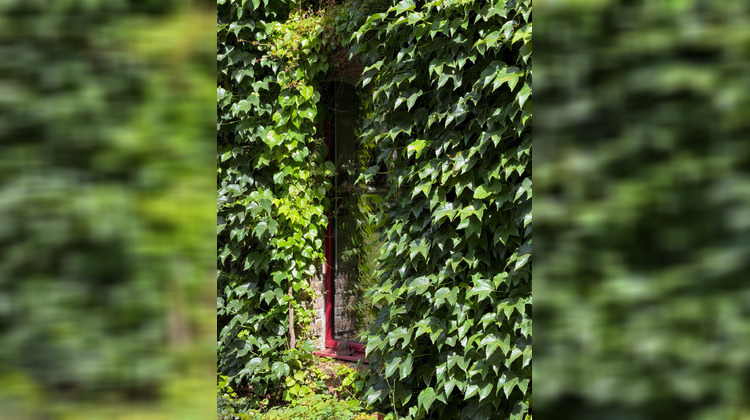 Ma-Cabane - Vente Maison Pancé, 163 m²