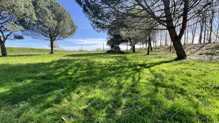 Ma-Cabane - Vente Maison Panjas, 221 m²