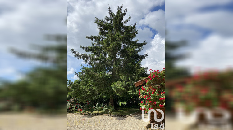 Ma-Cabane - Vente Maison Pargny-sur-Saulx, 155 m²