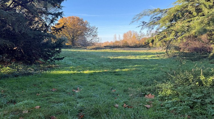 Ma-Cabane - Vente Maison PARISOT, 240 m²