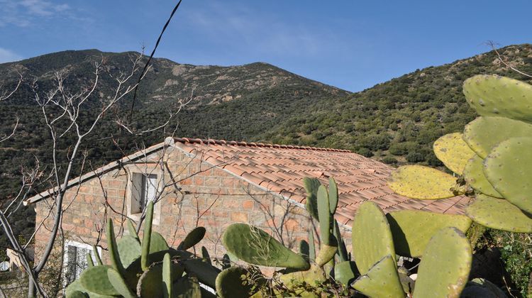 Ma-Cabane - Vente Maison PARTINELLO, 130 m²