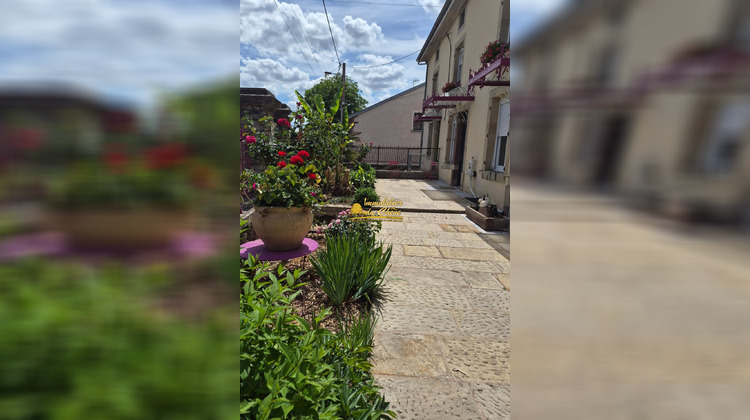 Ma-Cabane - Vente Maison Passavant-la-Rochère, 378 m²