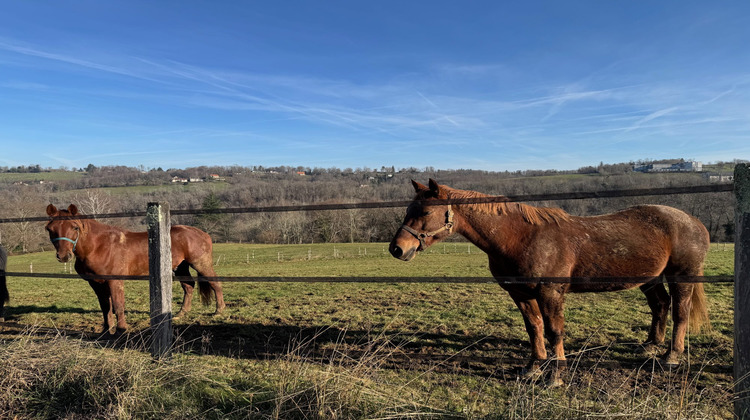 Ma-Cabane - Vente Maison Pau, 355 m²