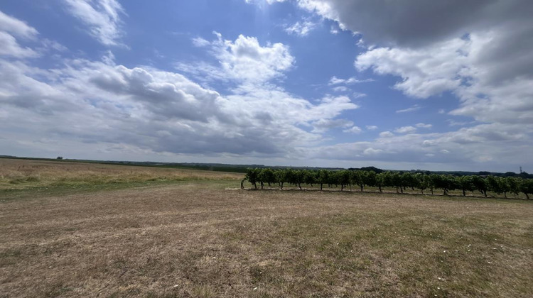 Ma-Cabane - Vente Maison PELLEGRUE, 239 m²