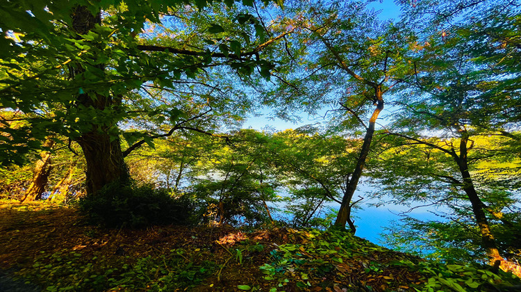 Ma-Cabane - Vente Maison PENNE-D'AGENAIS, 134 m²