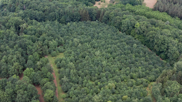 Ma-Cabane - Vente Maison PERIGUEUX, 560 m²