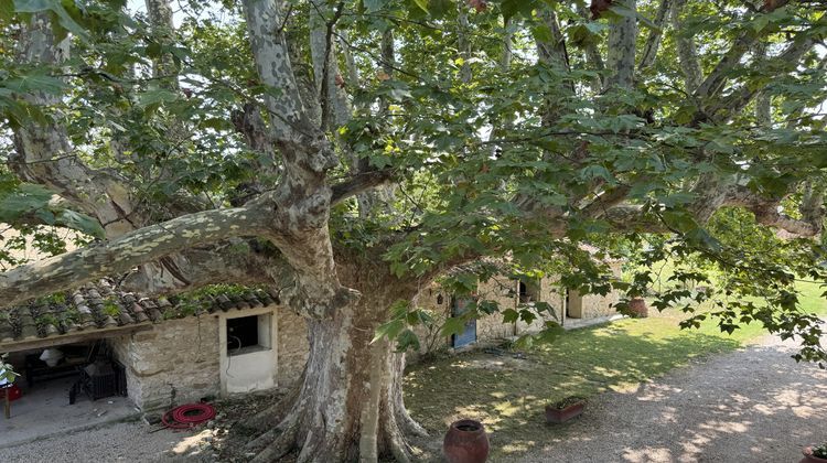 Ma-Cabane - Vente Maison Pernes-les-Fontaines, 312 m²