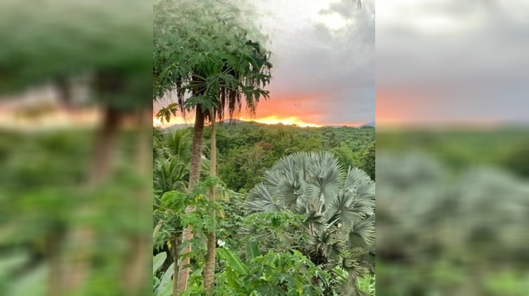 Ma-Cabane - Vente Maison PETIT BOURG, 150 m²