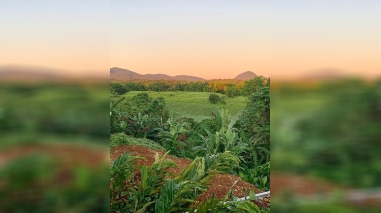Ma-Cabane - Vente Maison PETIT BOURG, 150 m²