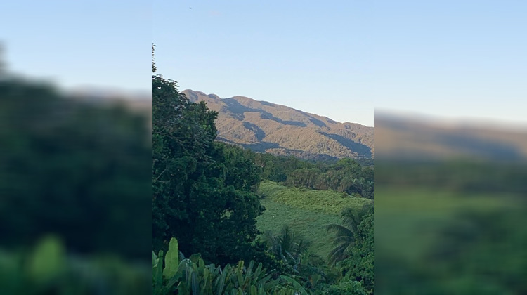 Ma-Cabane - Vente Maison PETIT BOURG, 150 m²