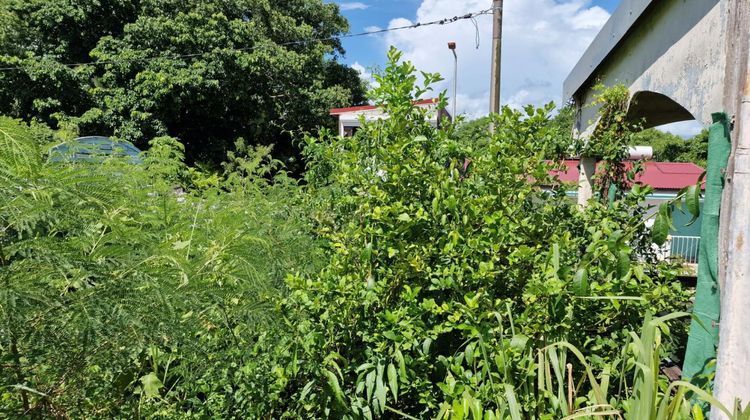 Ma-Cabane - Vente Maison PETIT CANAL, 100 m²