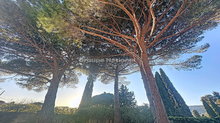 Ma-Cabane - Vente Maison PEYMEINADE, 295 m²