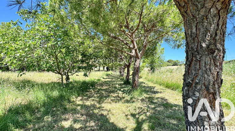Ma-Cabane - Vente Maison Peyriac-de-Mer, 156 m²
