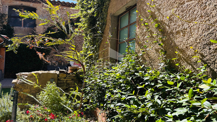Ma-Cabane - Vente Maison PEYRIAC-MINERVOIS, 240 m²