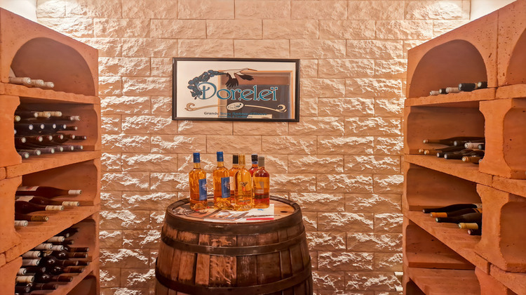 Ma-Cabane - Vente Maison PEZARCHES, 273 m²