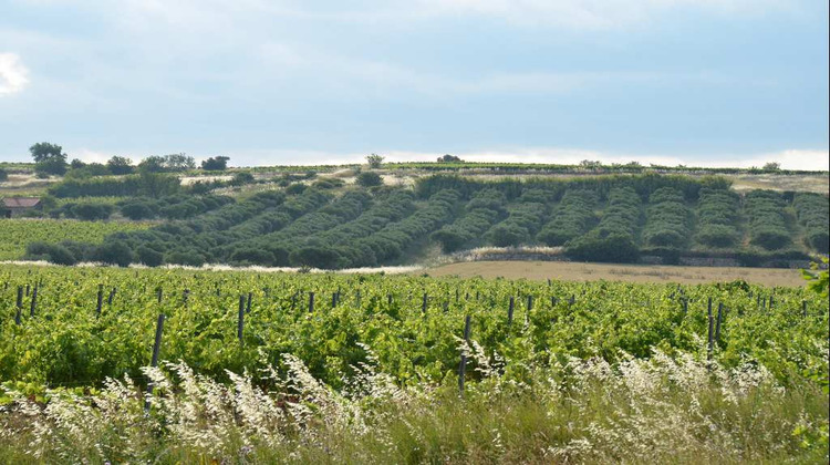 Ma-Cabane - Vente Maison PEZENAS, 1300 m²