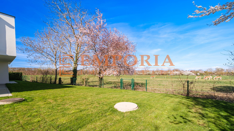 Ma-Cabane - Vente Maison Pfastatt, 166 m²