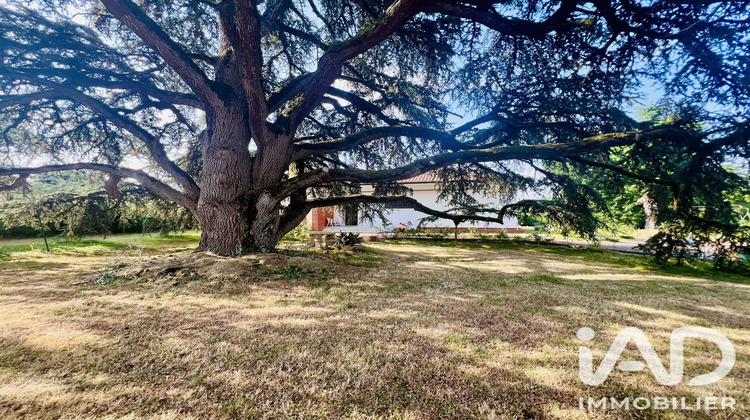 Ma-Cabane - Vente Maison Pibrac, 228 m²