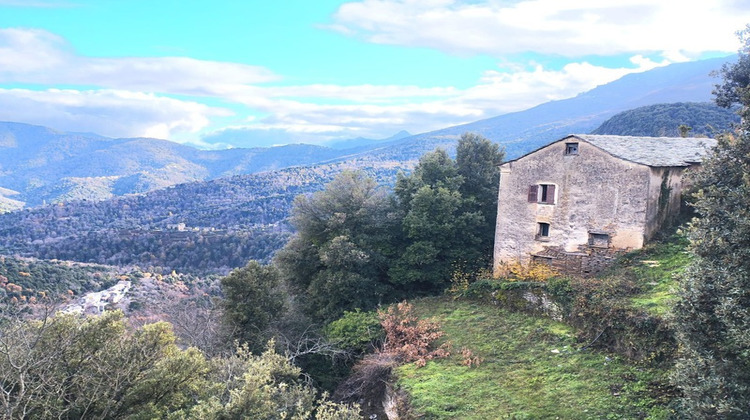 Ma-Cabane - Vente Maison PIE D OREZZA, 120 m²