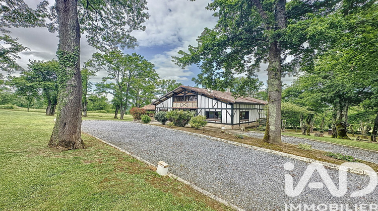 Ma-Cabane - Vente Maison Pimbo, 170 m²