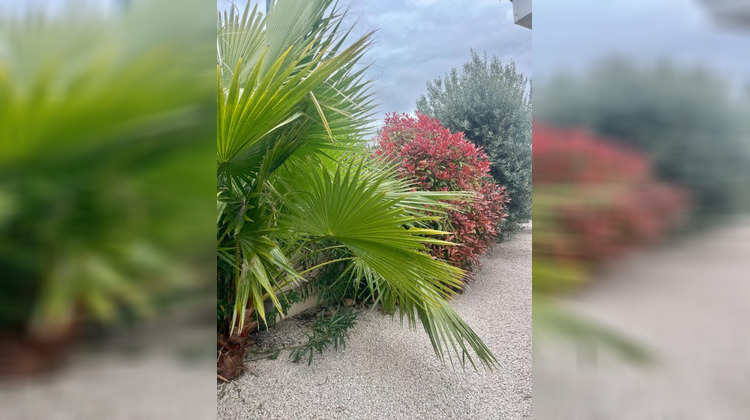 Ma-Cabane - Vente Maison PINET, 77 m²