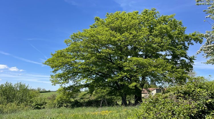 Ma-Cabane - Vente Maison Pionsat, 100 m²