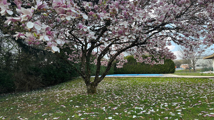 Ma-Cabane - Vente Maison PIREY, 197 m²