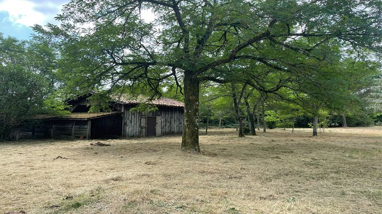 Ma-Cabane - Vente Maison PISSOS, 258 m²