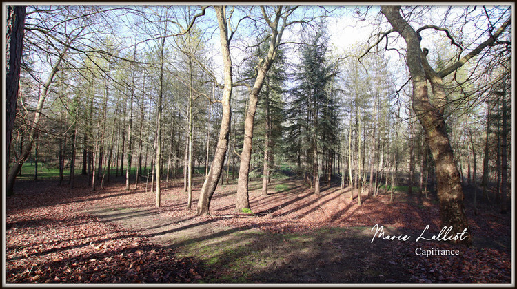 Ma-Cabane - Vente Maison PITHIVIERS, 343 m²