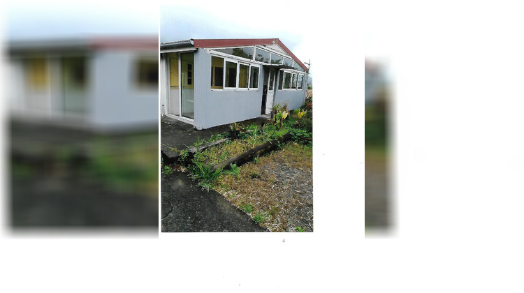 Ma-Cabane - Vente Maison Plaine-des-Palmistes, 100 m²