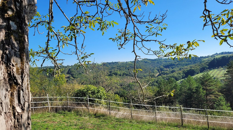 Ma-Cabane - Vente Maison PLAZAC, 118 m²