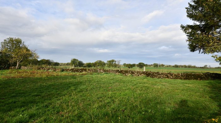 Ma-Cabane - Vente Maison Pleaux, 137 m²