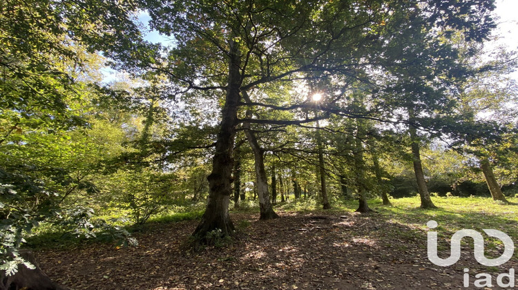 Ma-Cabane - Vente Maison Plemet, 220 m²