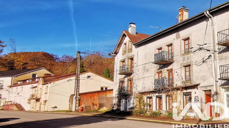 Ma-Cabane - Vente Maison Plombières-les-Bains, 237 m²