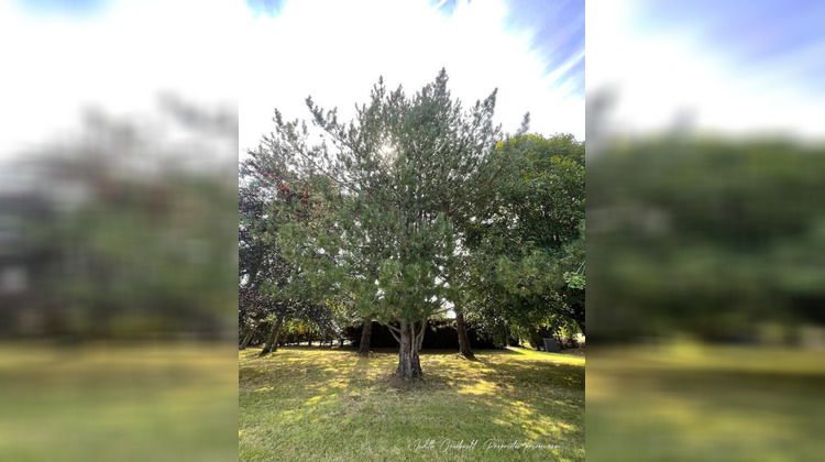Ma-Cabane - Vente Maison PLOUHA, 290 m²